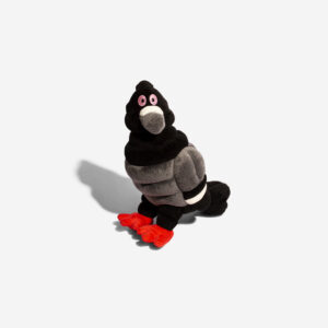import placeholder for 15112655